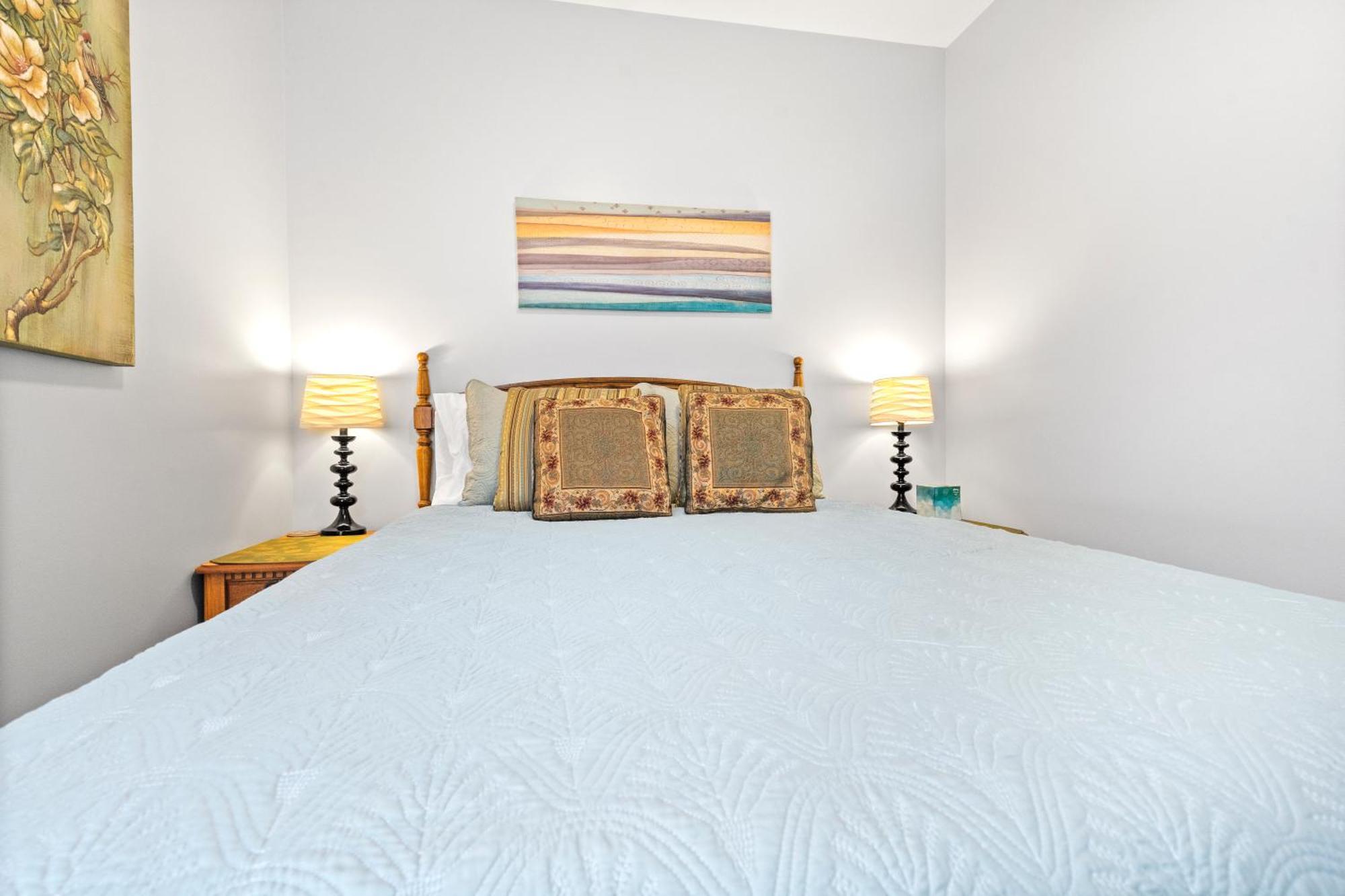 Newly Rehabbed Greystone With 2 Private Apartments, Backyard, Garage, Laundry, Close To Expressway Appartement